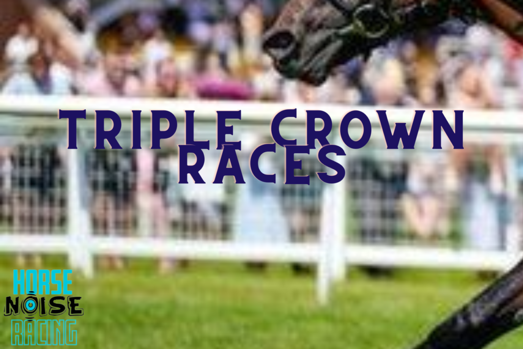 What are the Triple Crown Races in Canada Horse Racing Noise